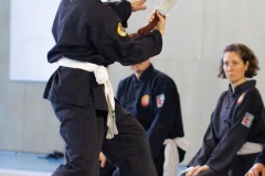 YAMATOKAN-MULTI-DISCIPLINES-394