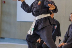 YAMATOKAN-MULTI-DISCIPLINES-395