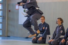 YAMATOKAN-MULTI-DISCIPLINES-396