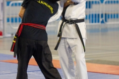 YAMATOKAN-MULTI-DISCIPLINES-457